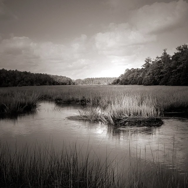 film_photographers_08.jpg