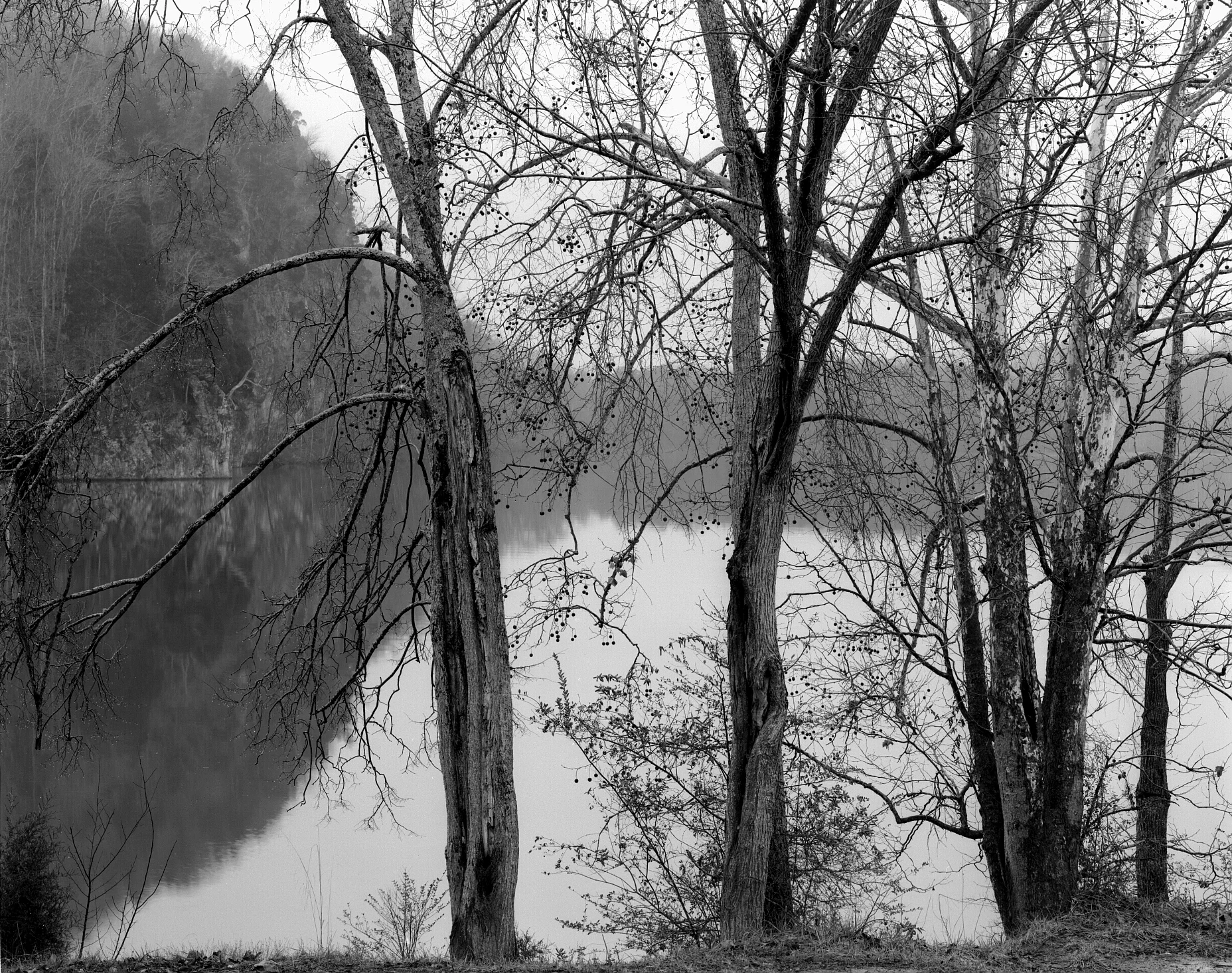 film_photography_80.jpg