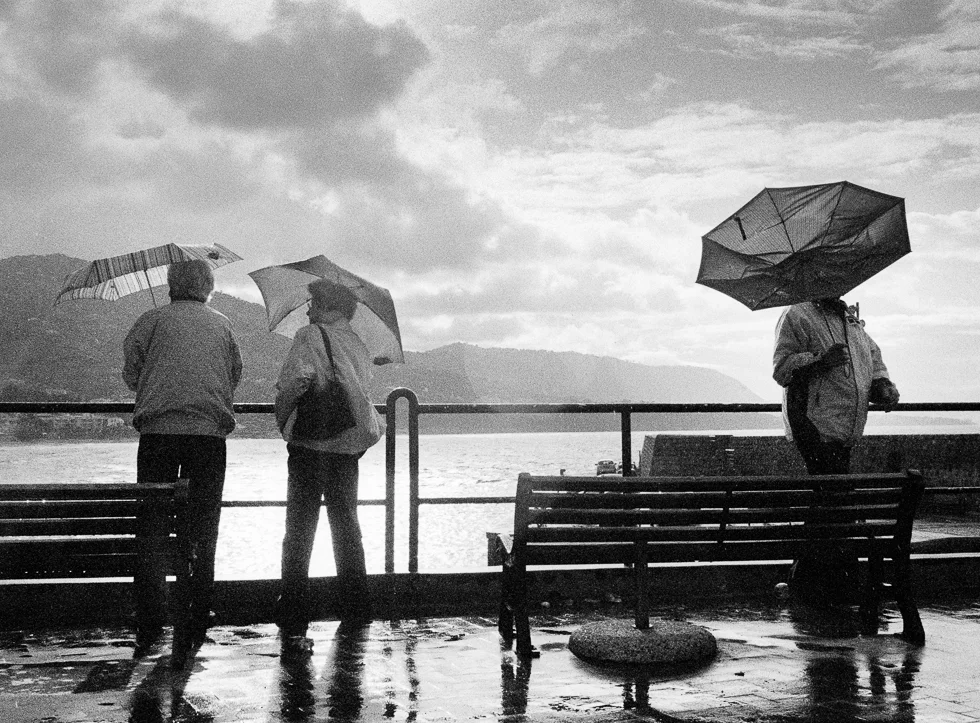 film_photography_20.jpg