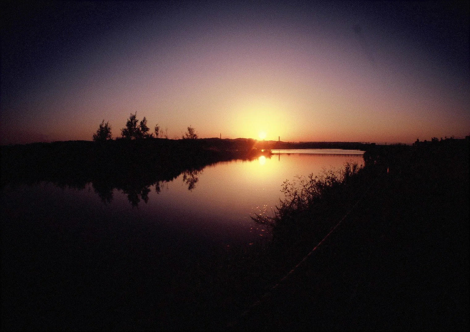film_photography_284.JPG