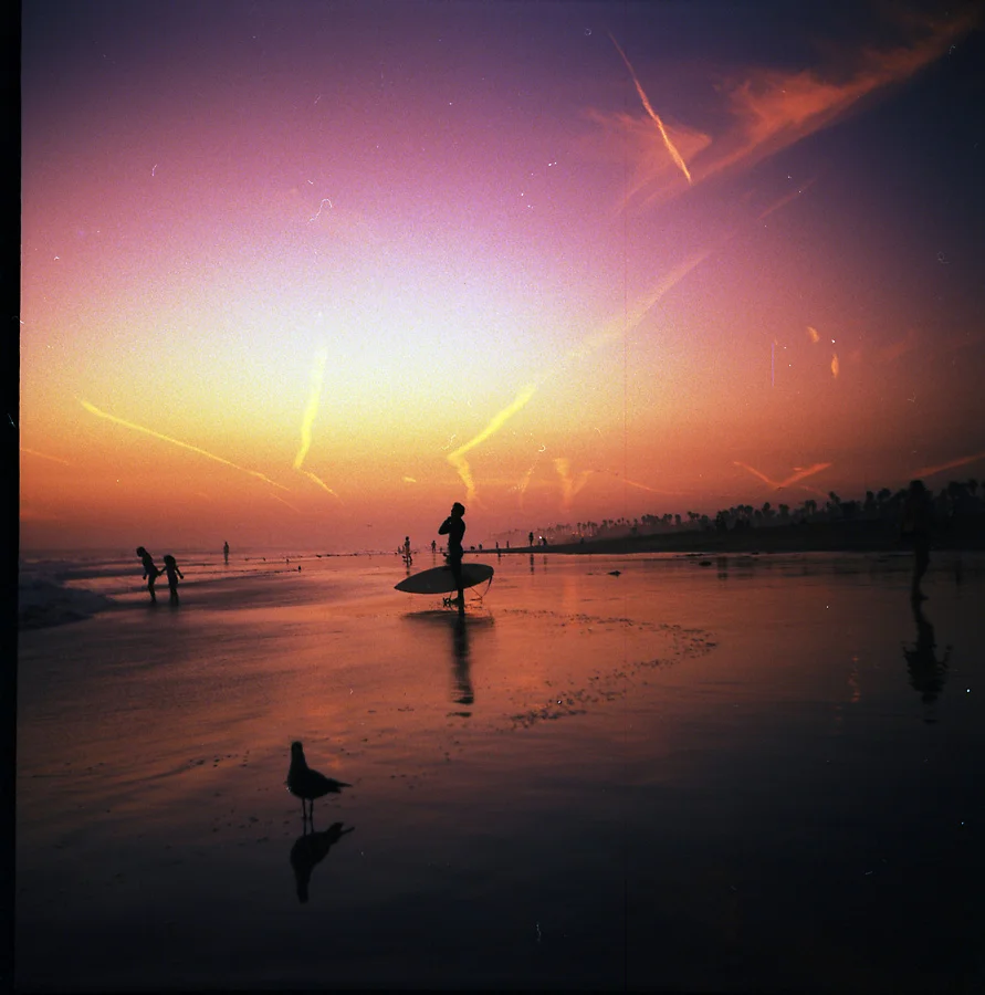 film_photography_0010.jpg