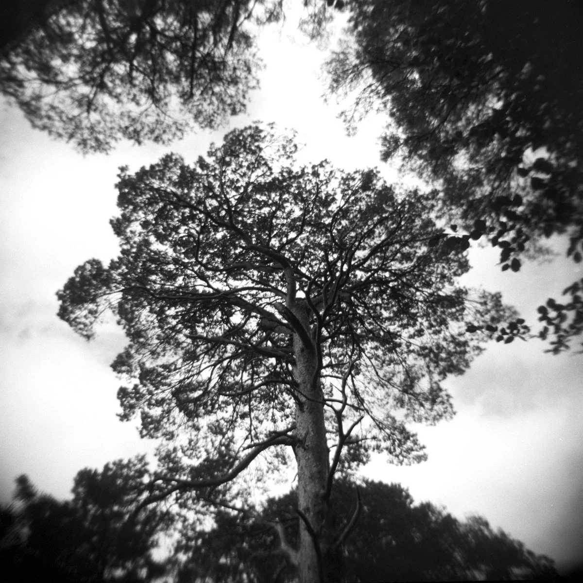 analog_film_cameras_033.jpg