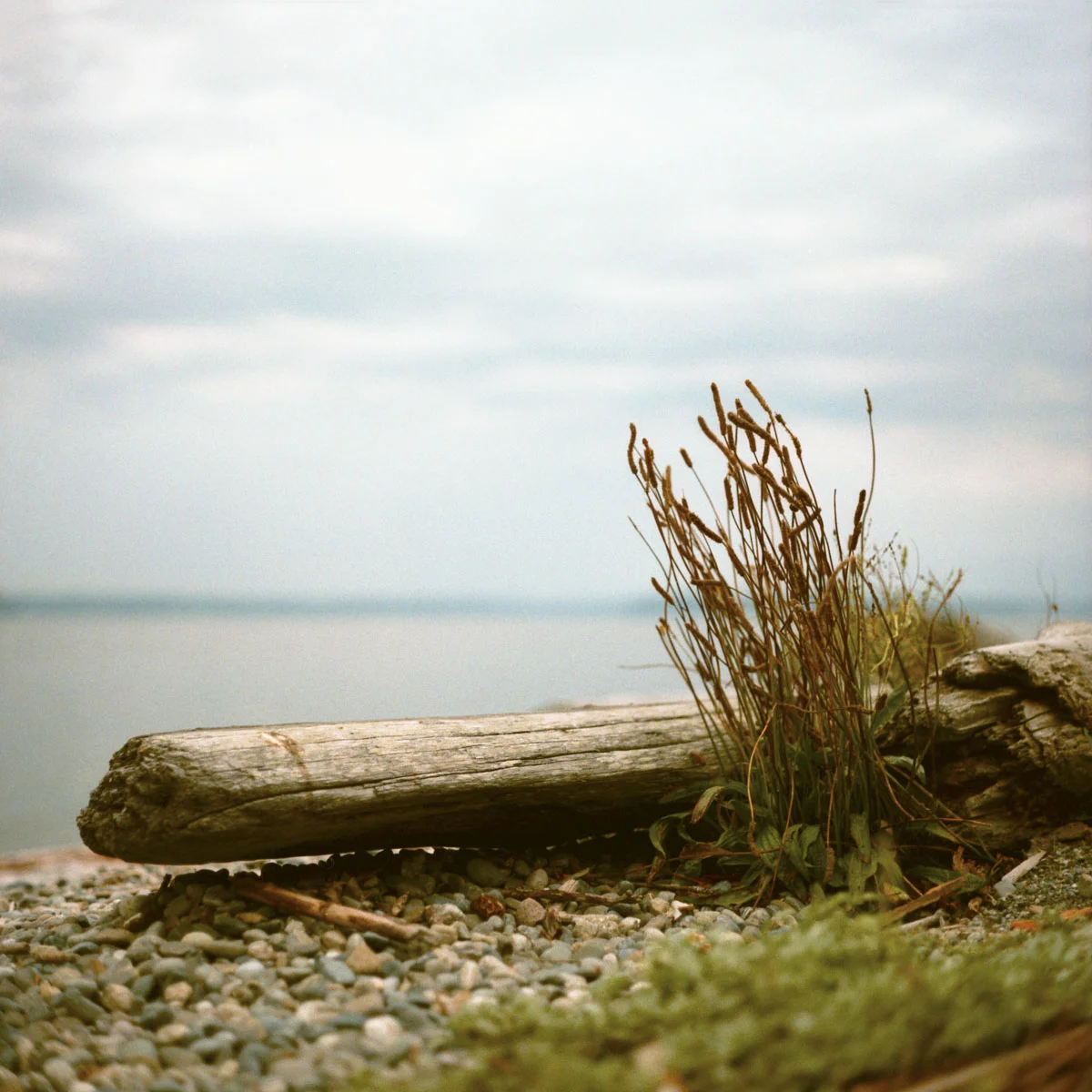 analog_film_cameras_037.jpg