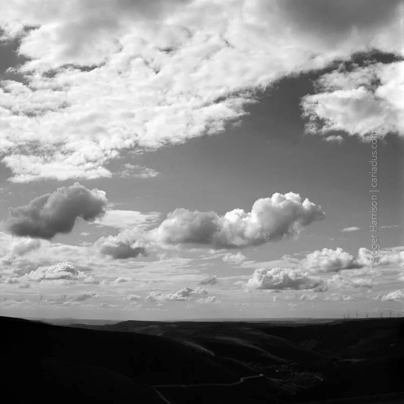 hassy-20130907008_800x600.jpg