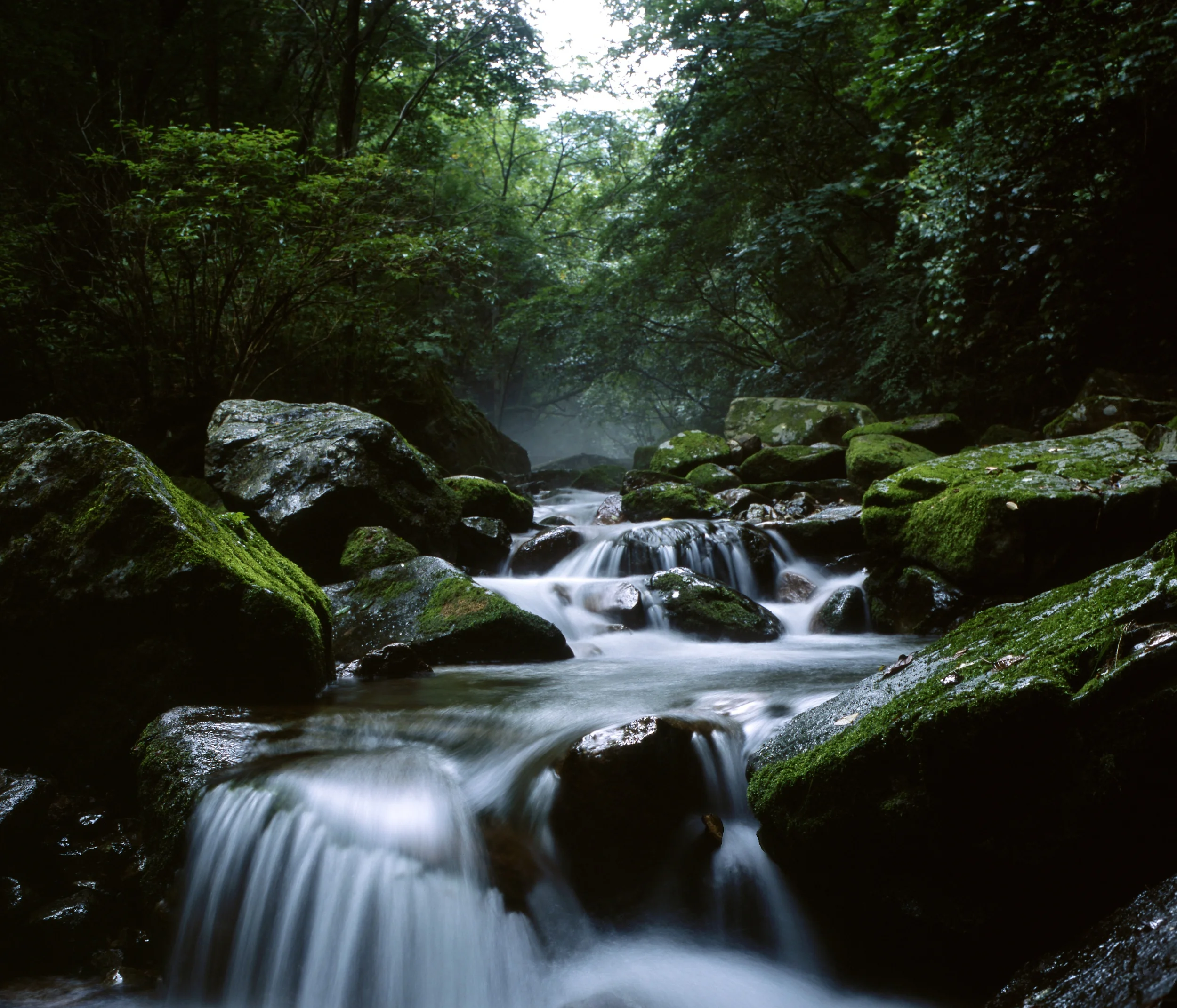 Stream valley