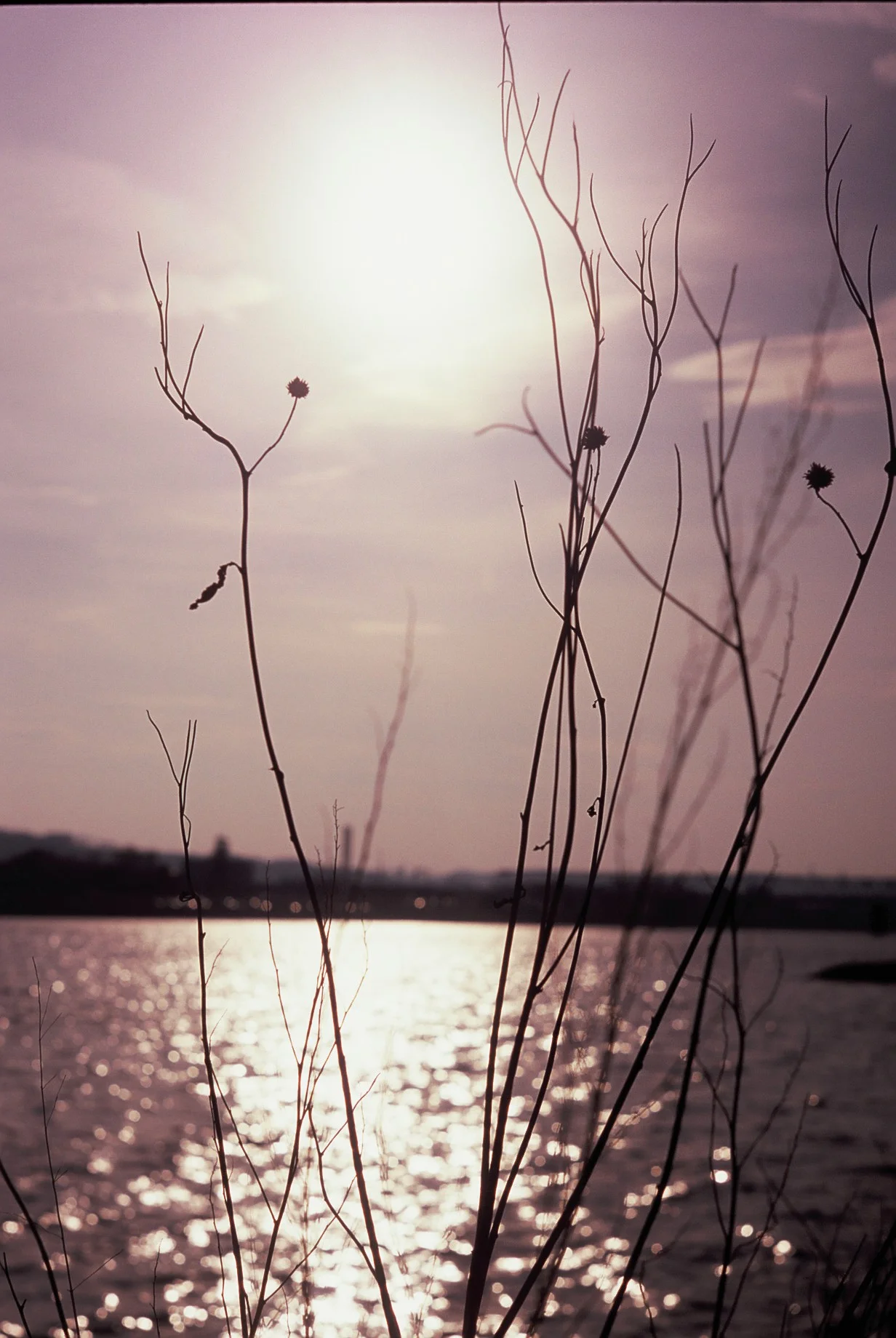 FH000016.JPG