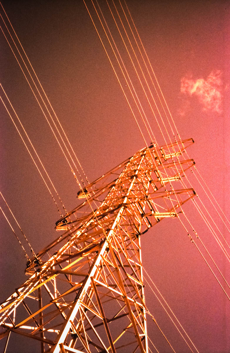 Golden Power | Leica M2 - Fuji T64 | Marie Westerbom