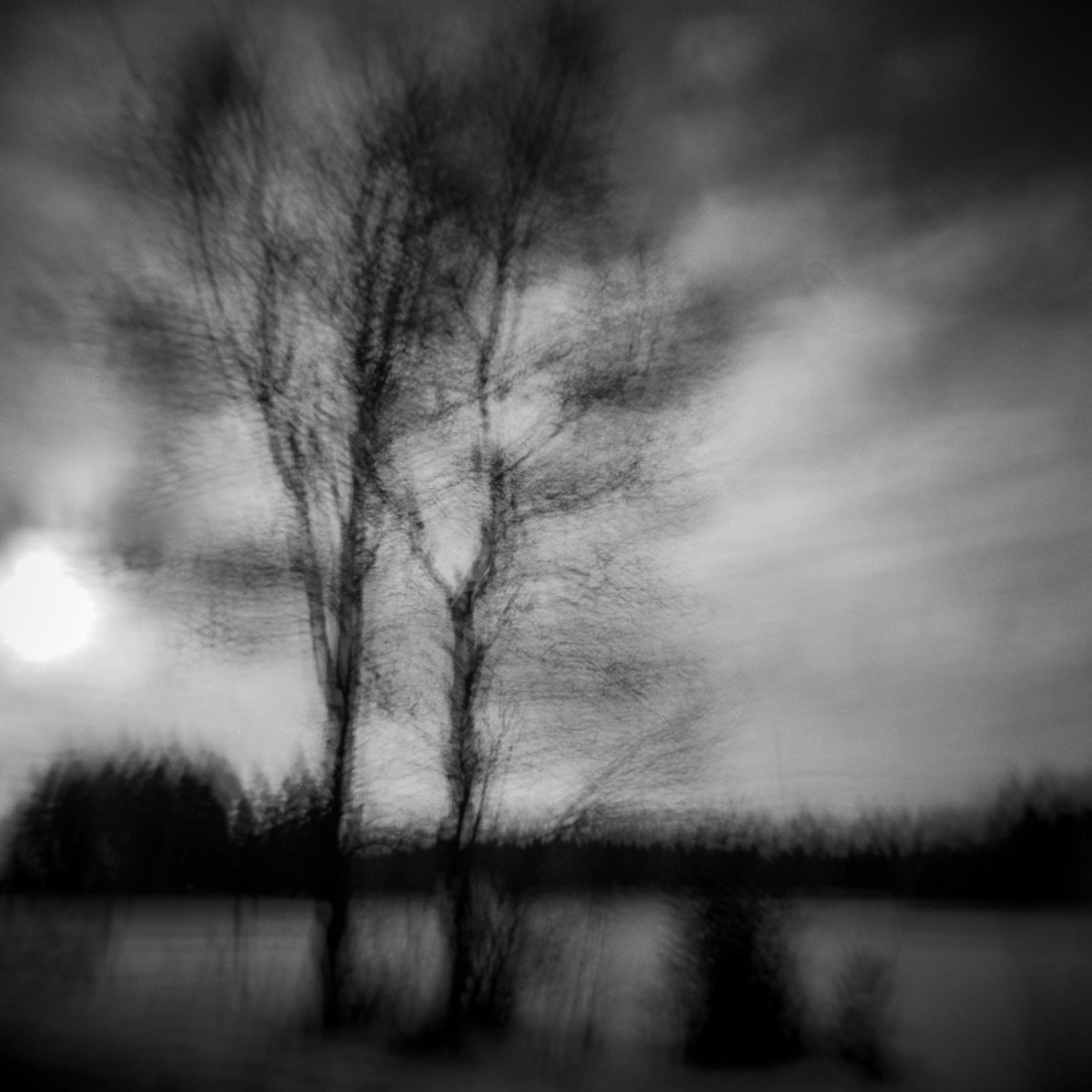 A grey grey day | Holga GCFN-Ilford PanF+ | Marie Westerbom