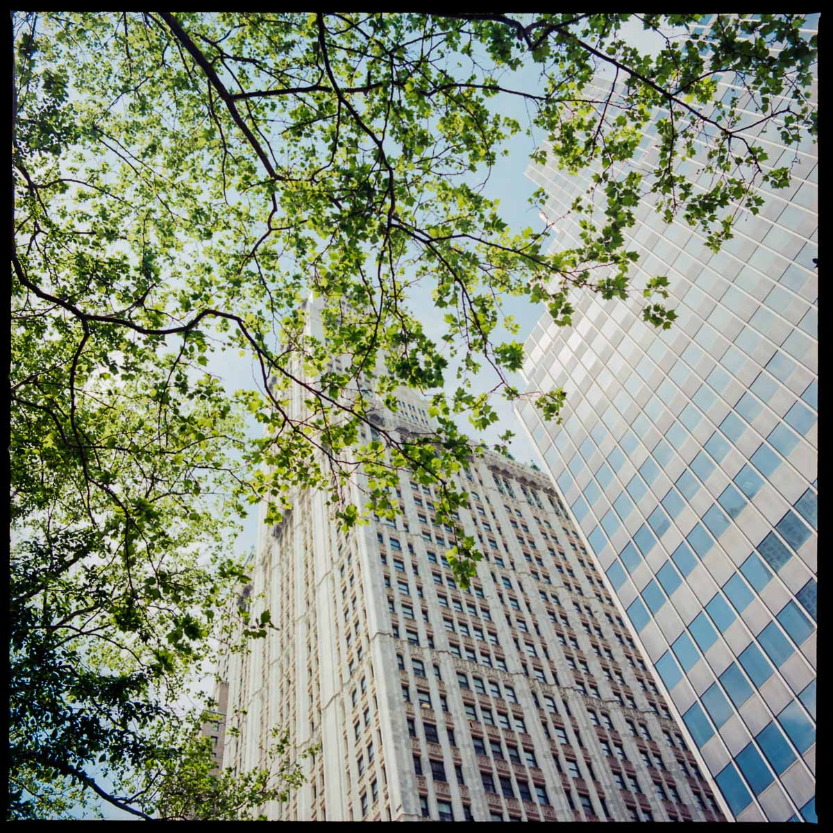Manhattan spring | Hasselblad 503cx - Kodak Ektar 100 | Marie Westerbom