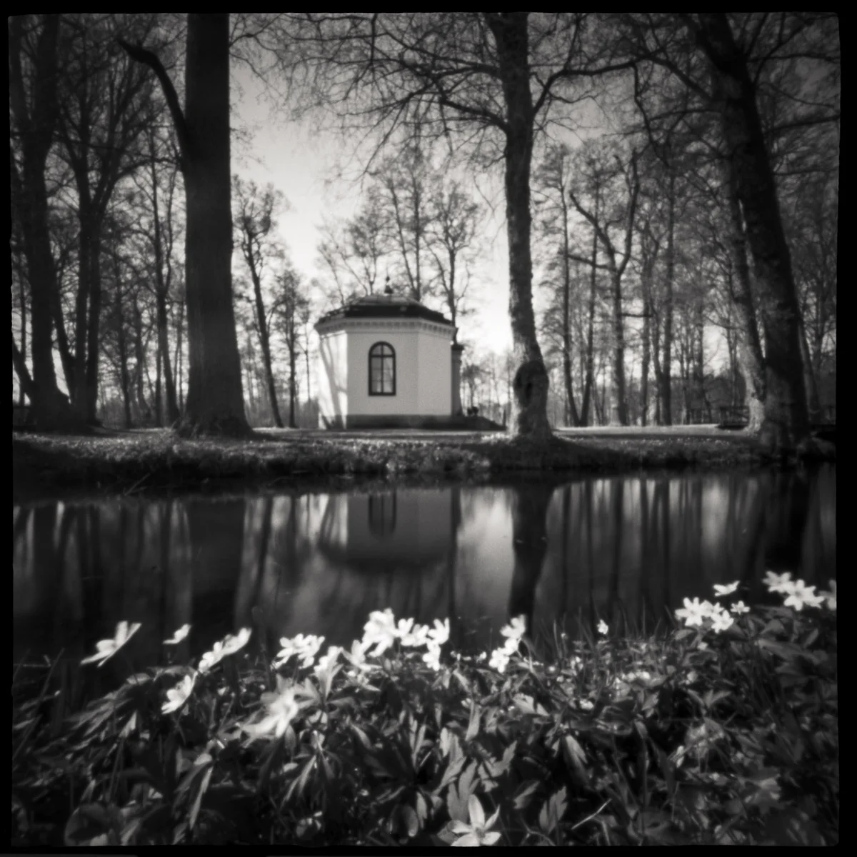 WPPD 2015 | ZeroImage 2000 - Fuji Acros 100 | Marie Westerbom