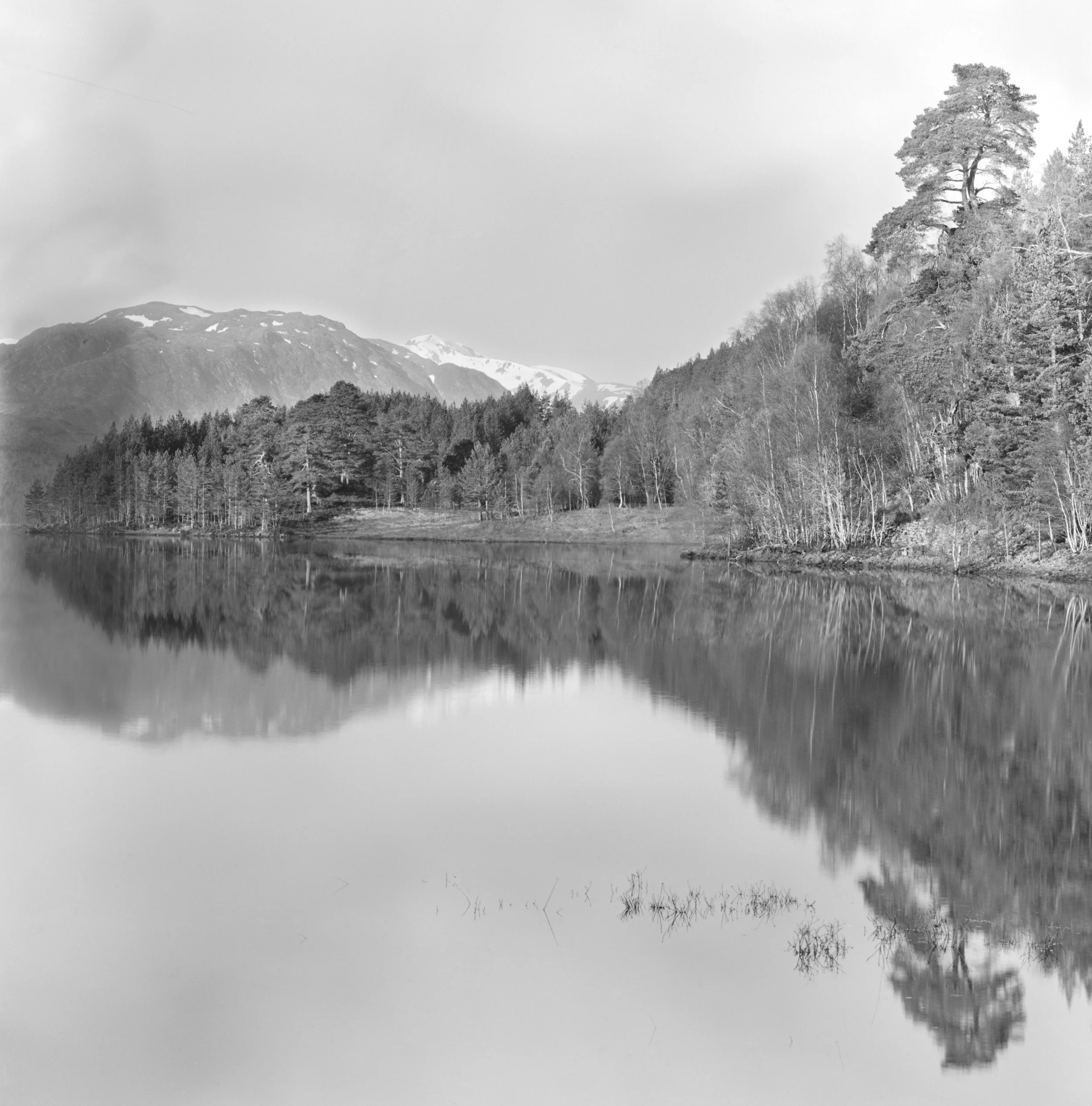 A Story of Evolution