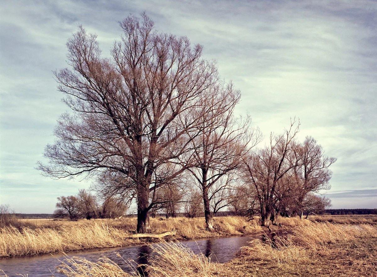 film_photographer_009.jpg