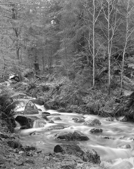 Decisions, decisions, decisions!