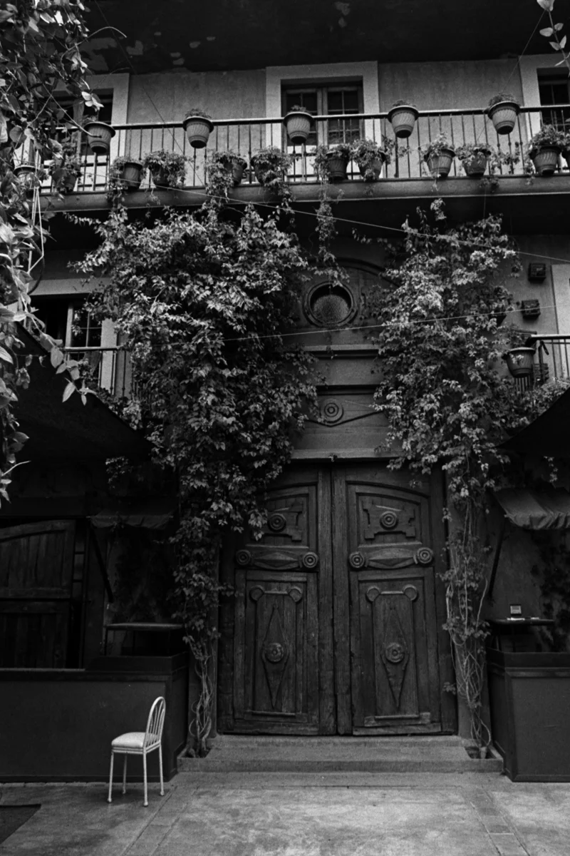 Pentax Spotmatic, Kodak TX