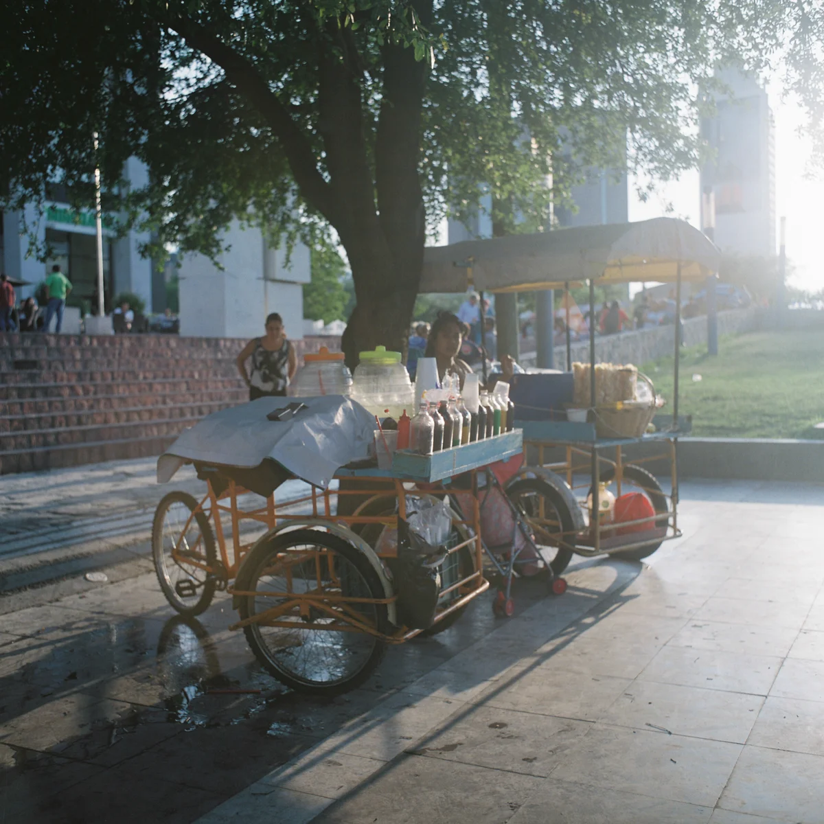 Mamiya C330, Fuji Pro 400H