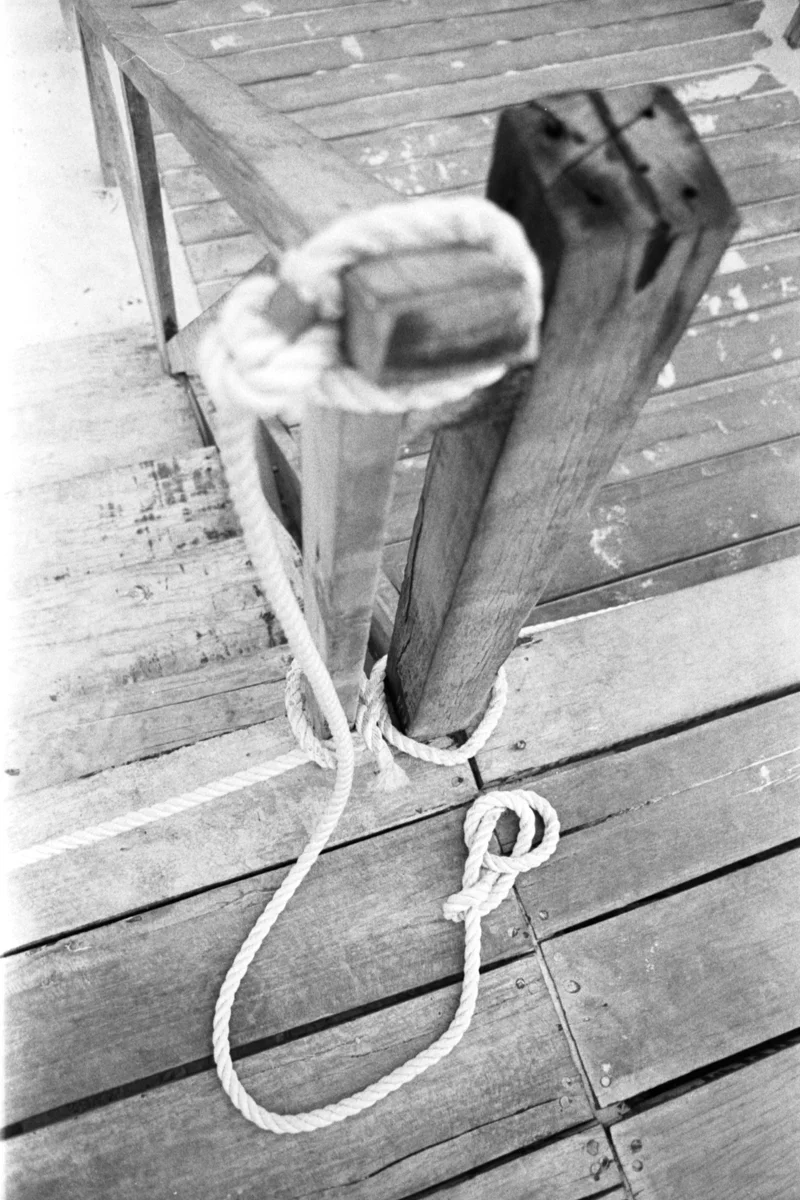 Pentax Spotmatic, Kodak TX