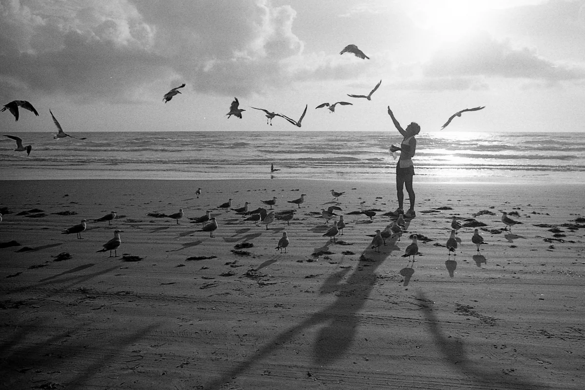 Pentax Spotmatic, Kodak TX