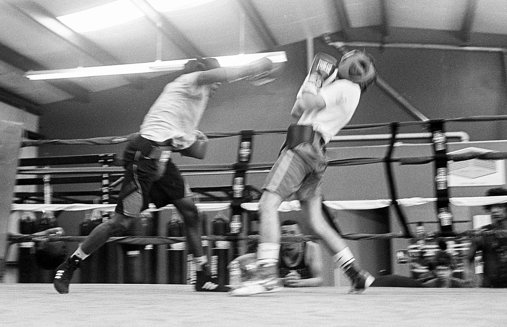 On the Nature, Acceptance, and Use of "Flaws"