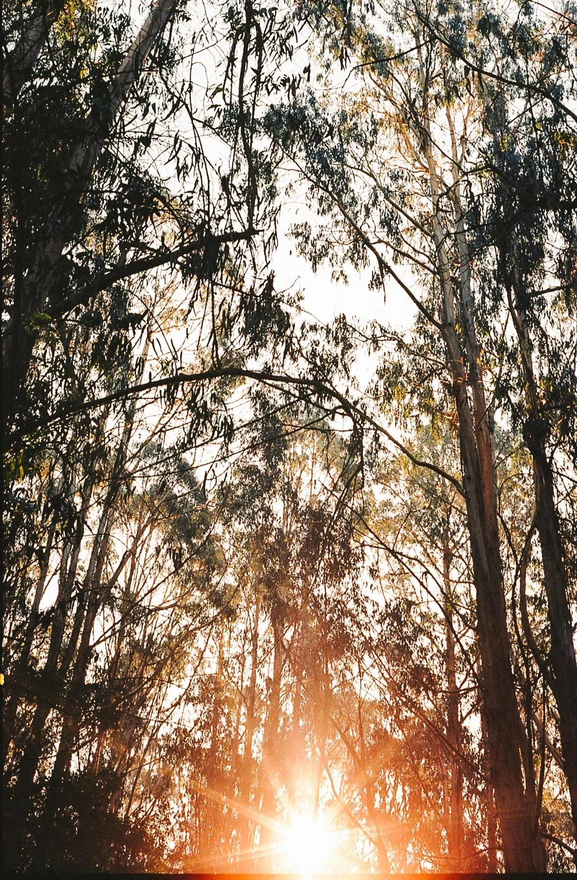unnamed (5).jpg