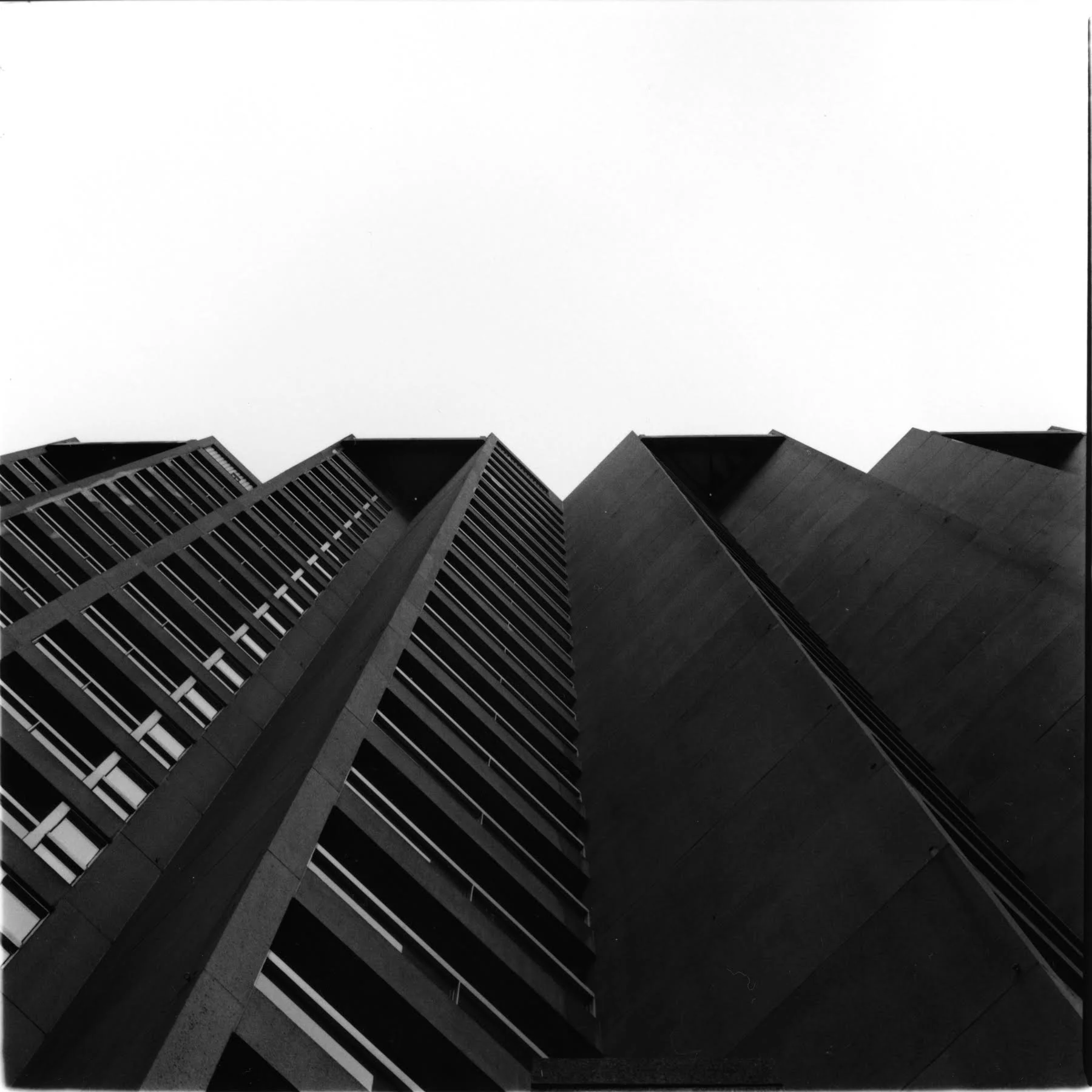 unnamed (1).jpg