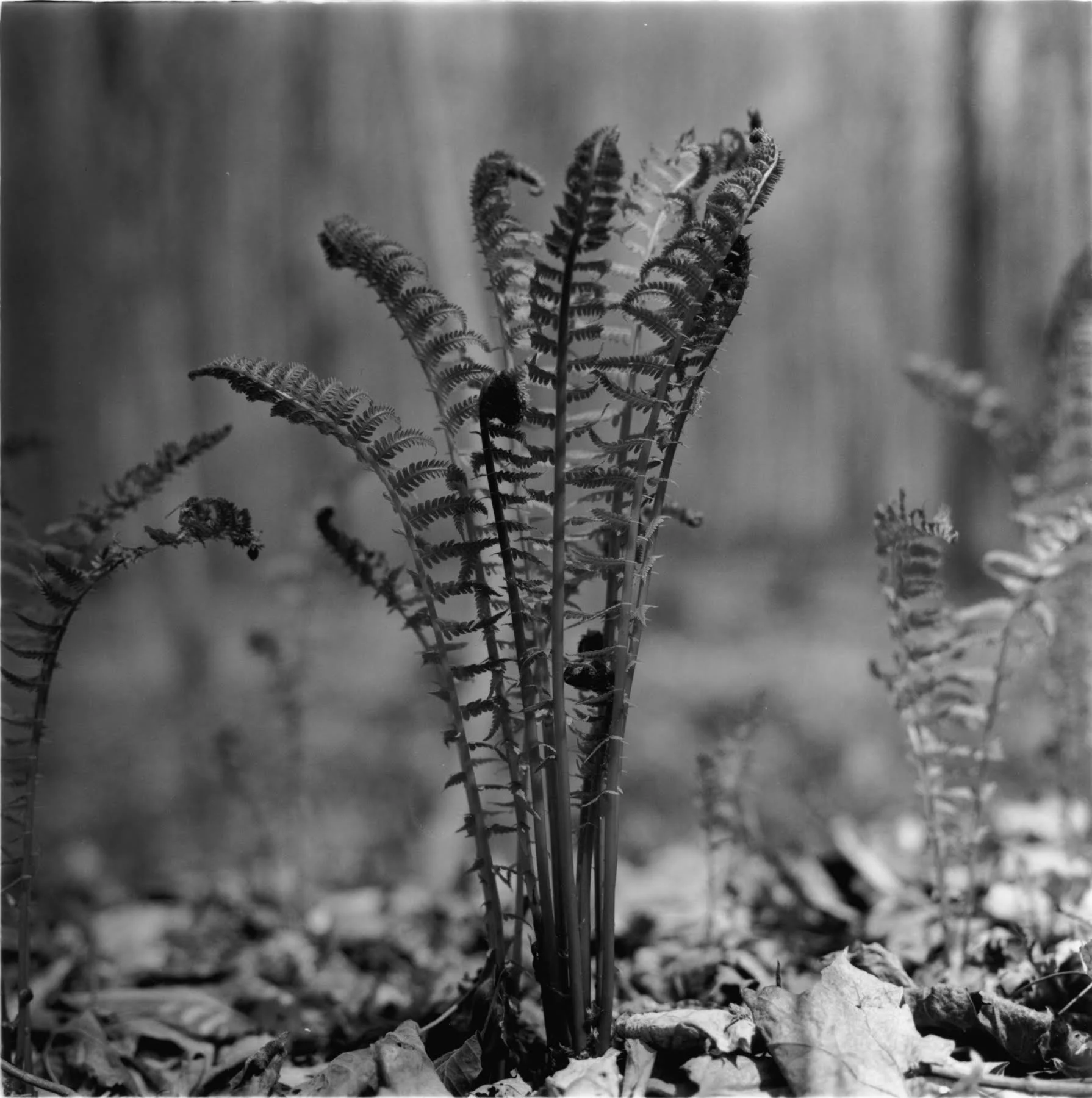 unnamed (6).jpg