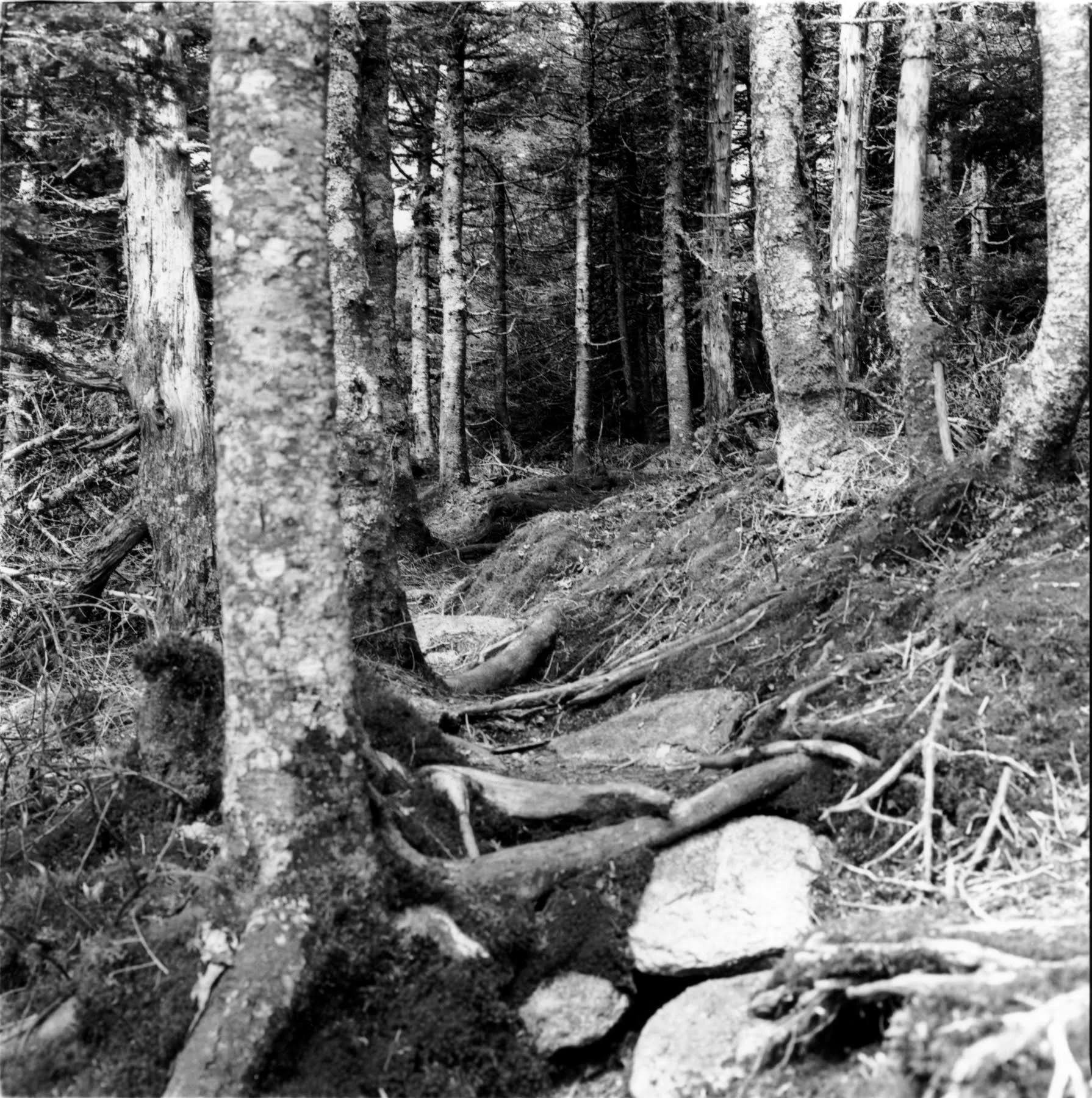unnamed (5).jpg