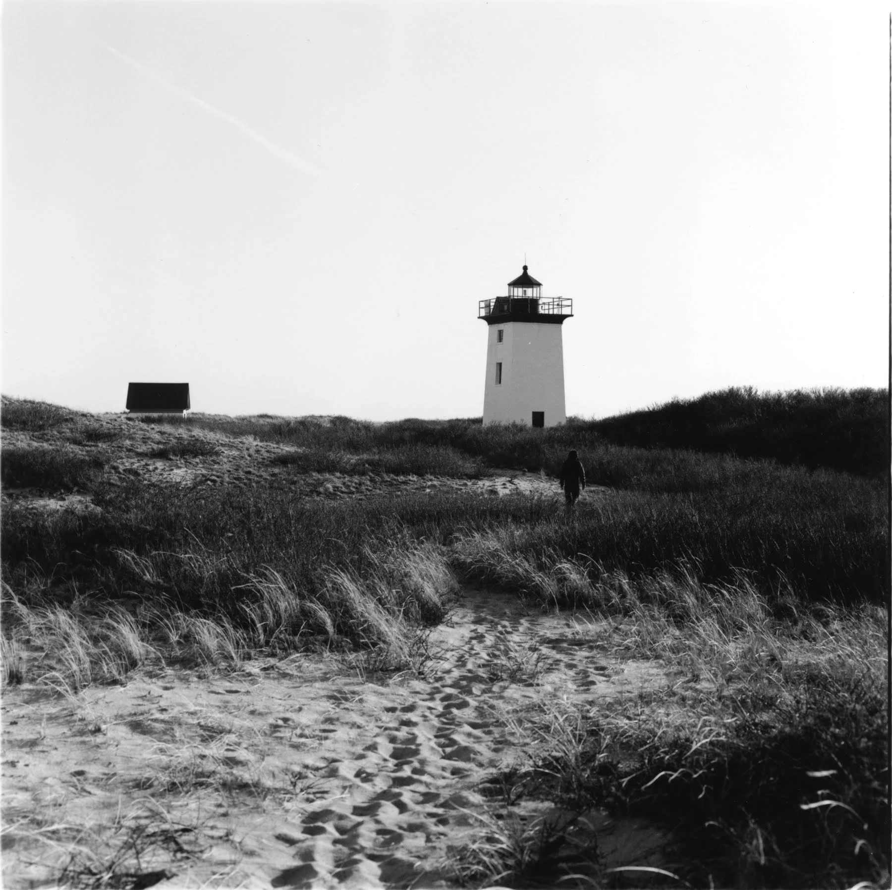 unnamed (8).jpg