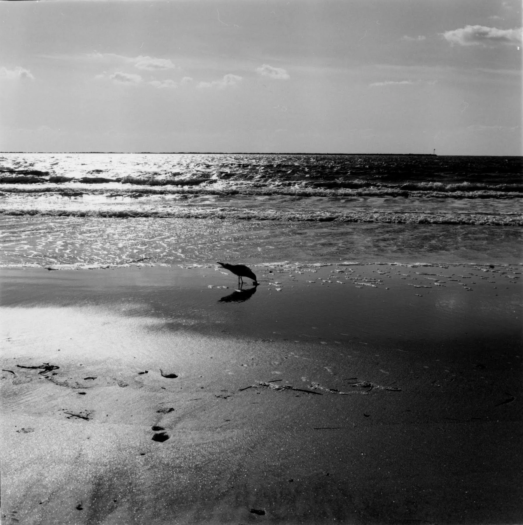 unnamed (9).jpg