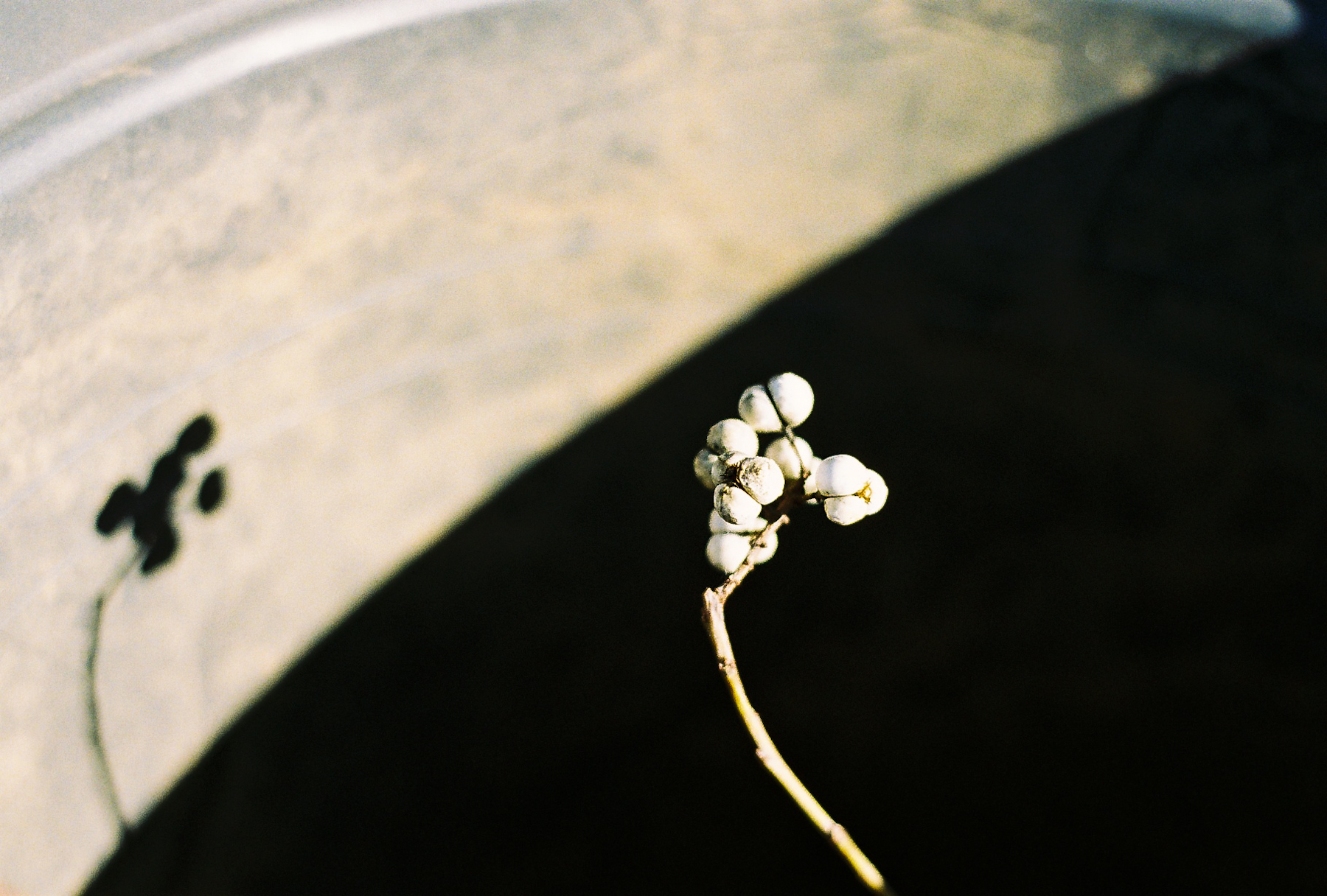 Light And Dark | Nikon F 70-50mm | Kartik Malik