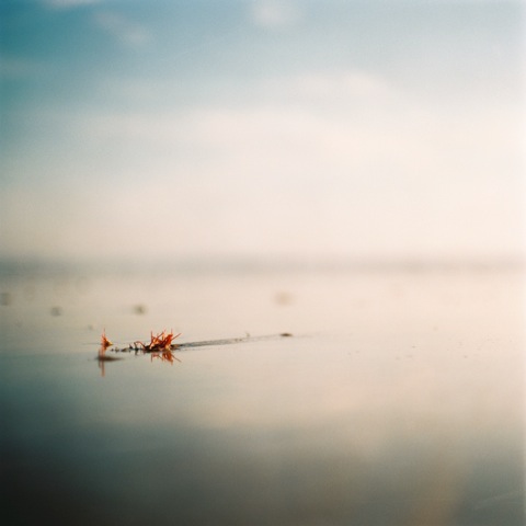 (Fuji400h/Pentacon Six/80mm)