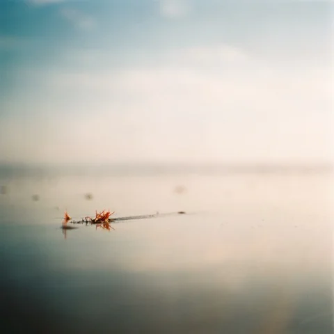 The Collective Inspiration Challenge:  Nils Karlson and Marie Westerbom