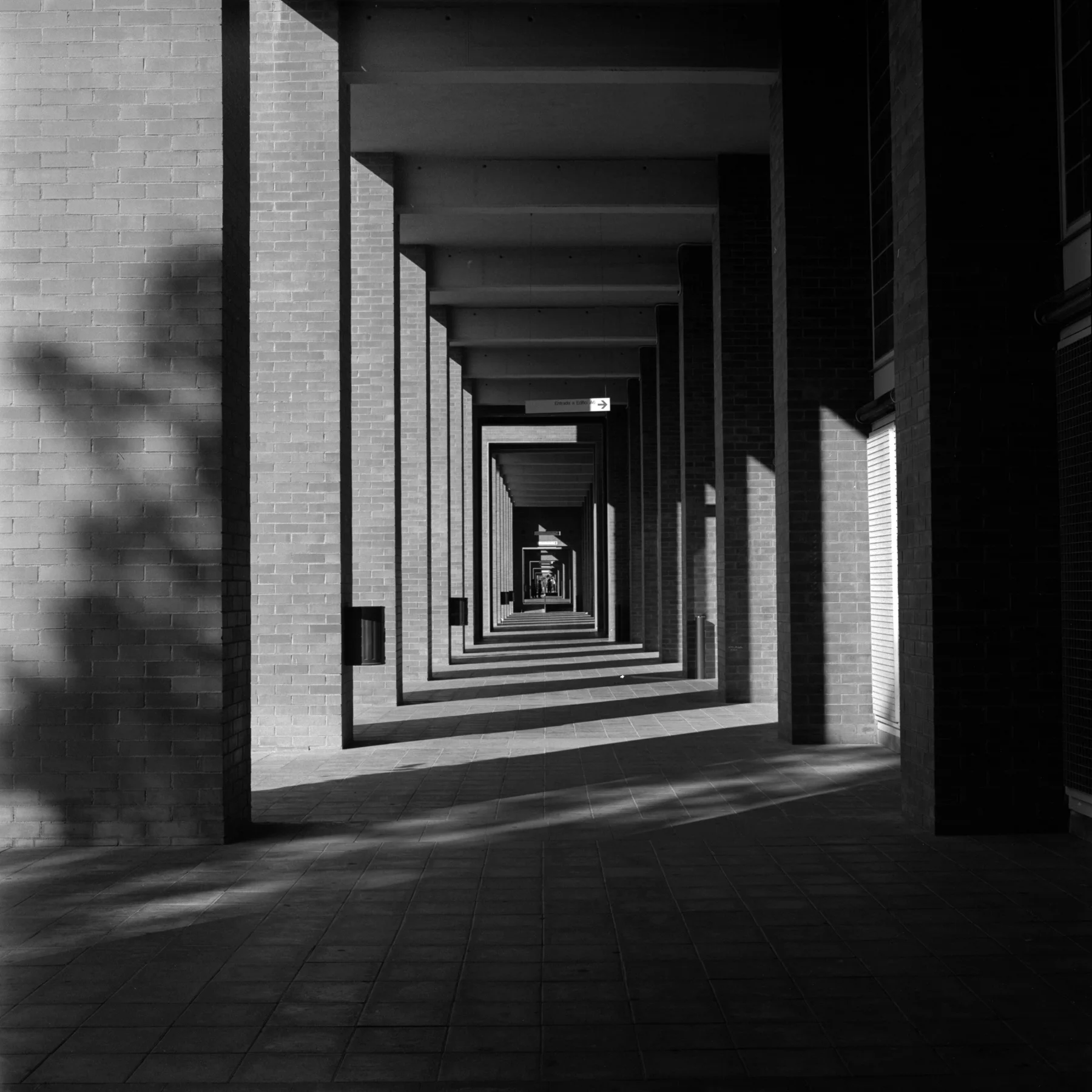 ENDLESS | HASSELBLAD 500 C/M | JESUS JOGLAR