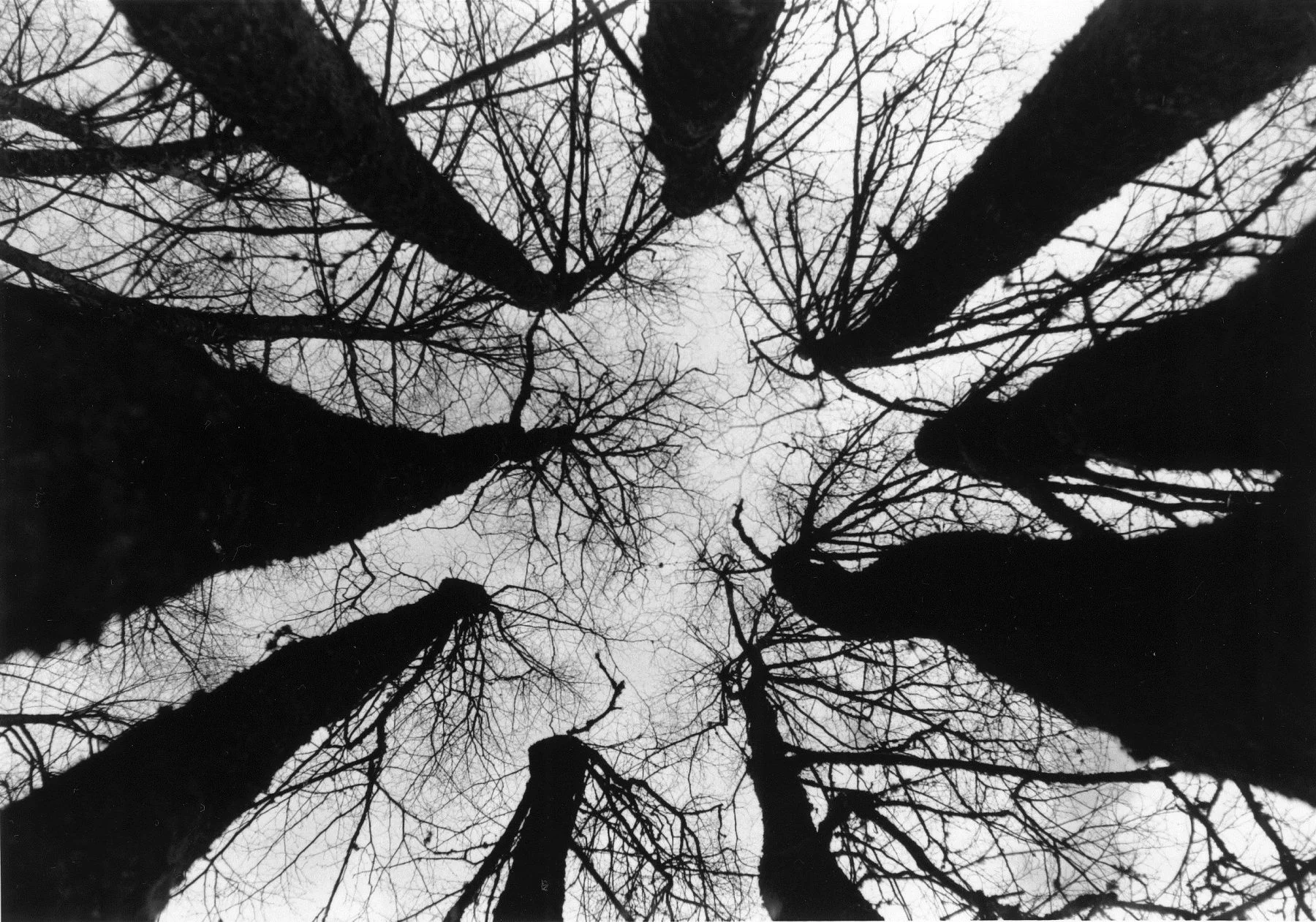 BROKEN SKY | PENTAX SPOTMATIC | ANDREY ORESHNIKOV