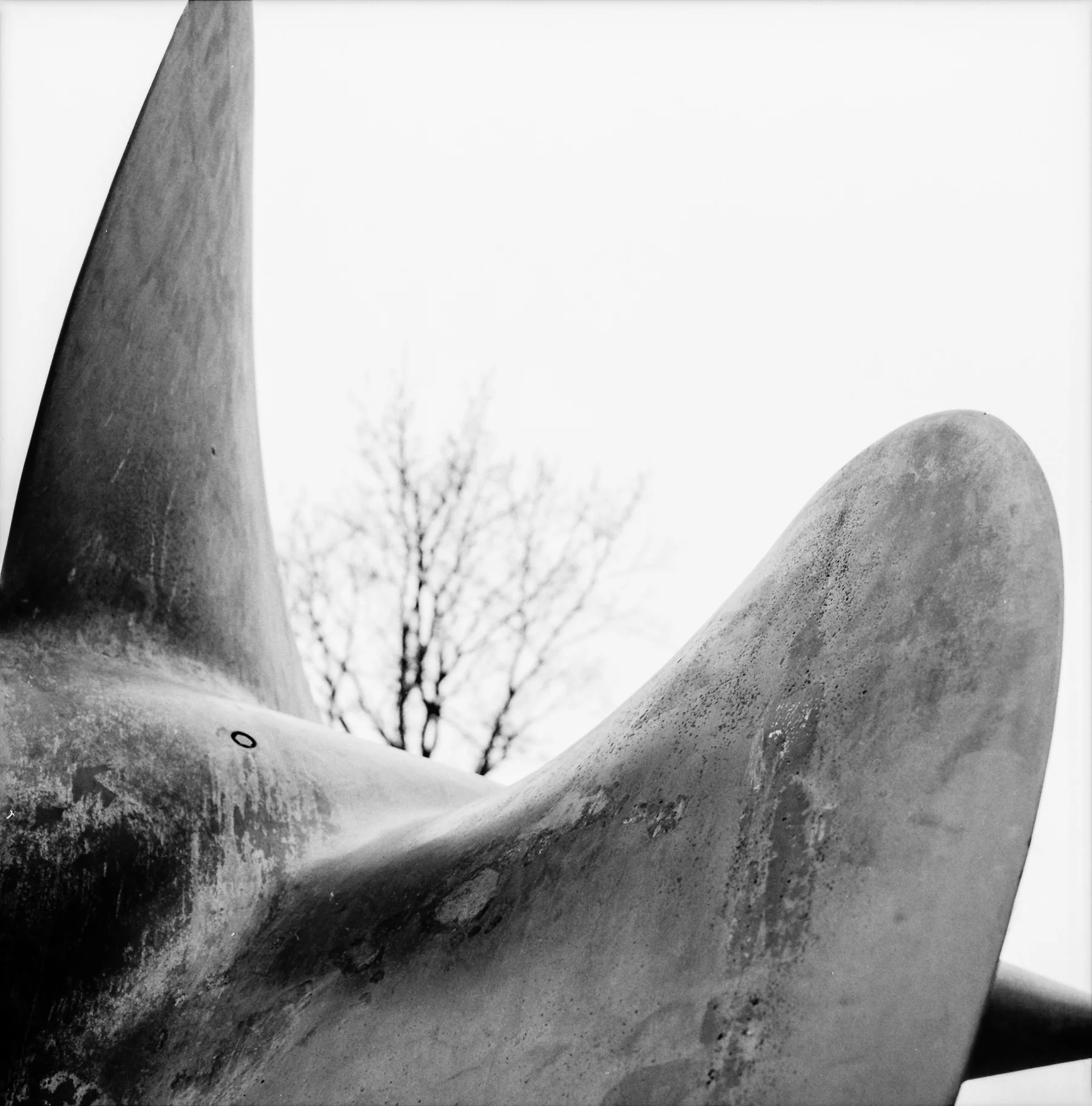PROPELLER | HASSELBLAD 500 C/M | HANS-PETER LINZ