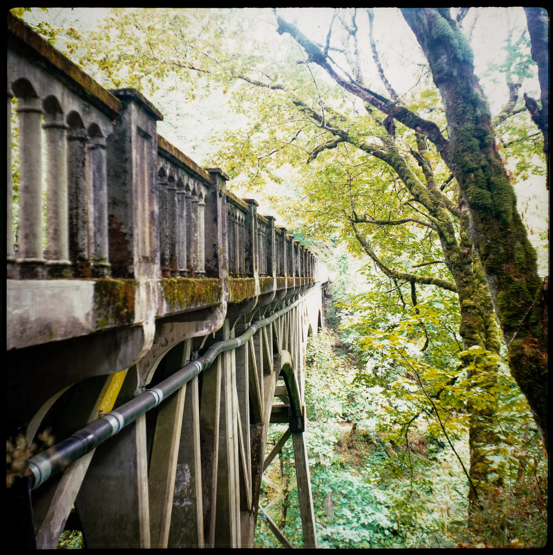 FOLLOWING LEWIS FOLLOWING CLARK | FRANK SOLIDA III | PROVIA 100F | KEVIN ROSINBUM