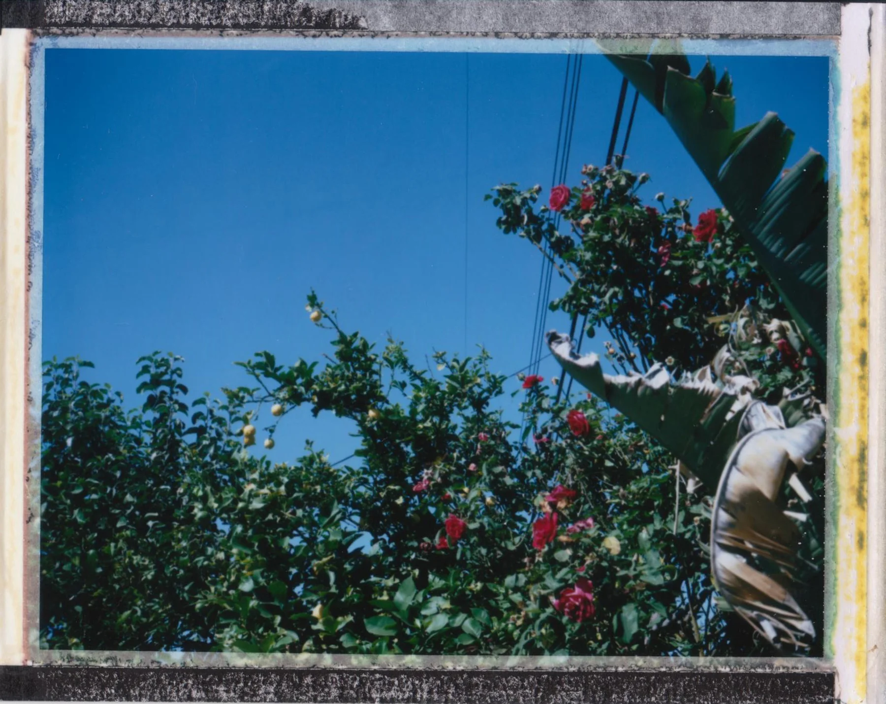 Pool II, Sylmar, California