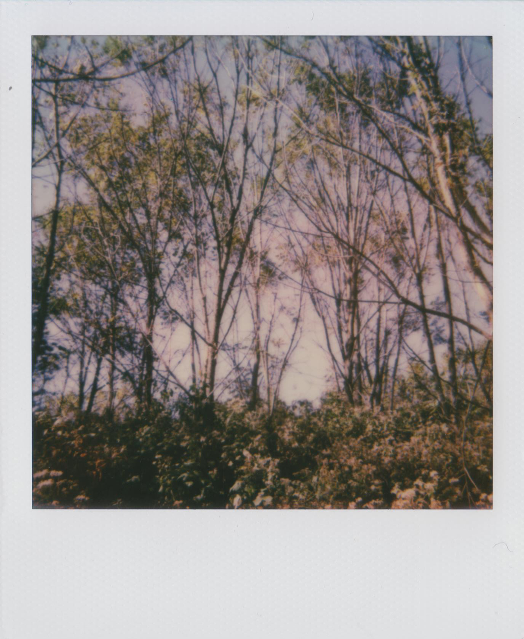 All images Polaroid Spirit 600 and Polaroid Spectra, Impossible Project film