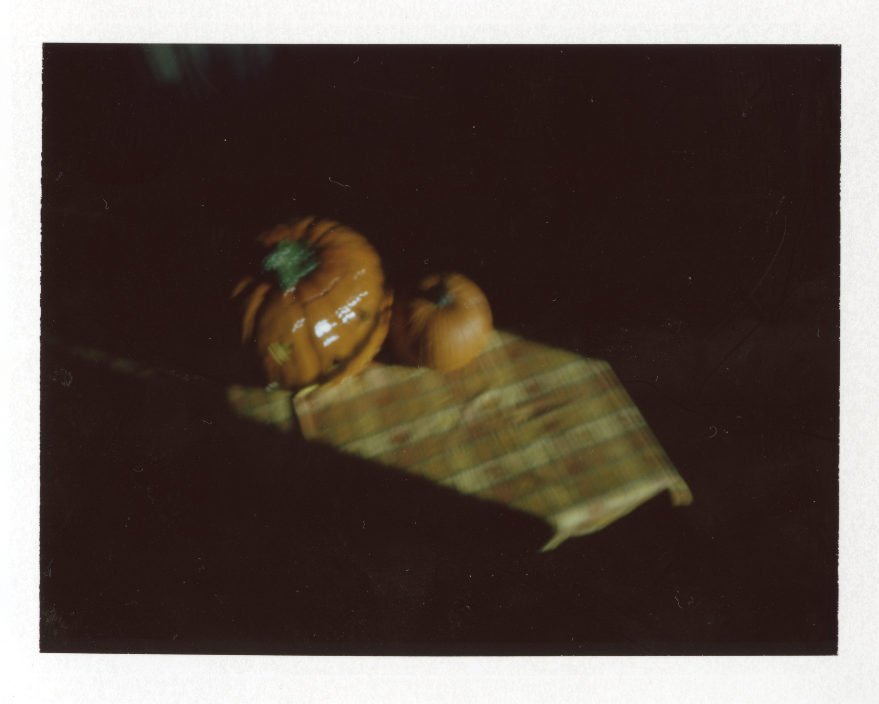 All images Polaroid Colorpack converted in pinhole, Fuji fp100C film