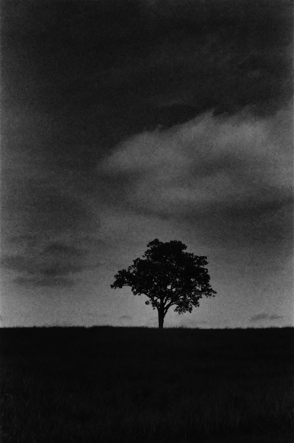 midnight_leicam5summaron35mm_keithmendenhall.jpg