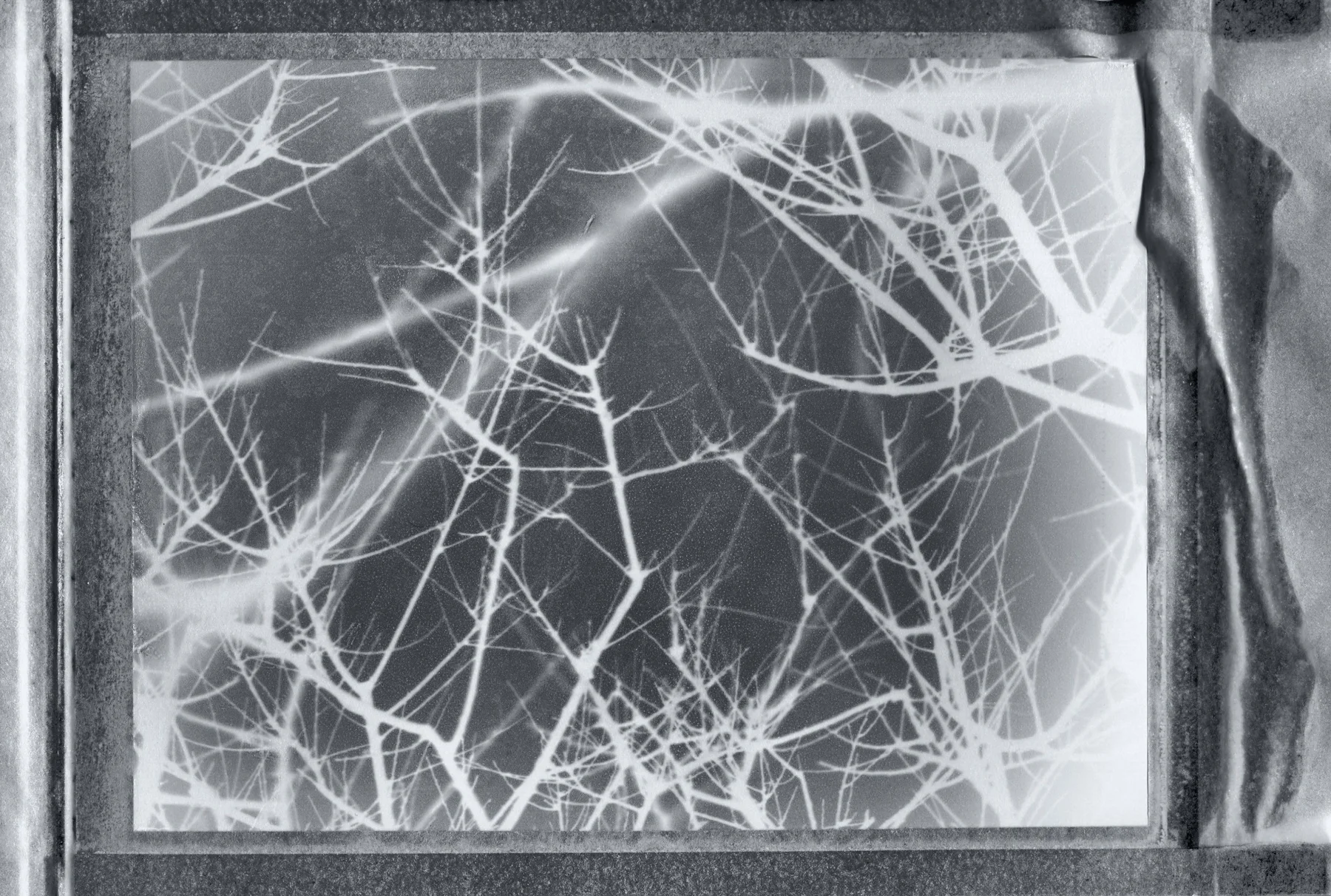 negative_polaroidland195_keithmendenhall.jpg