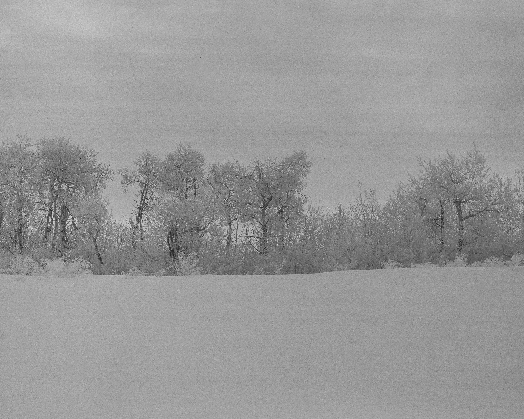 Frost_RB67_90mm_ToddConnaghan.jpg
