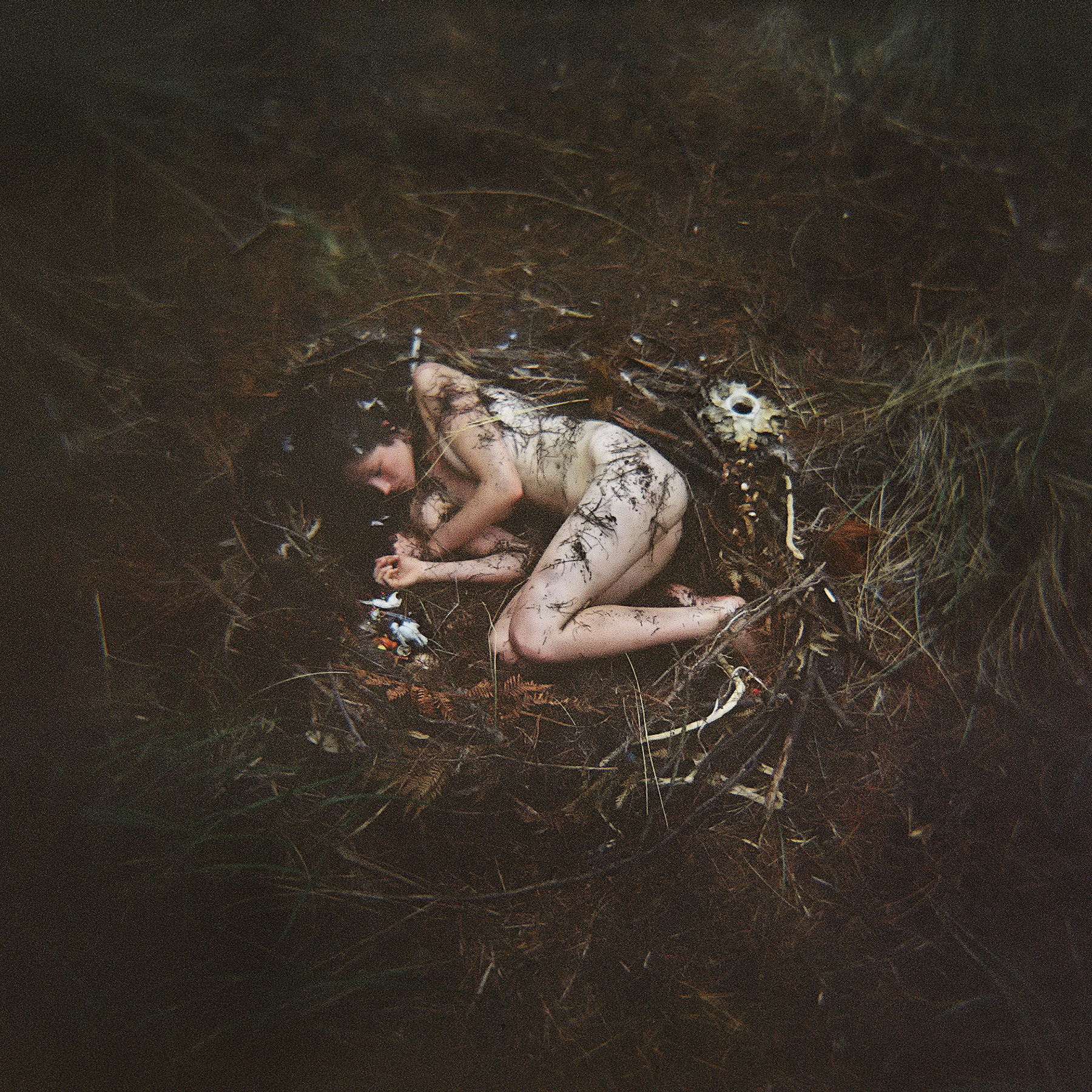 Birds Nest | Holga 120S | Steve Lovegrove