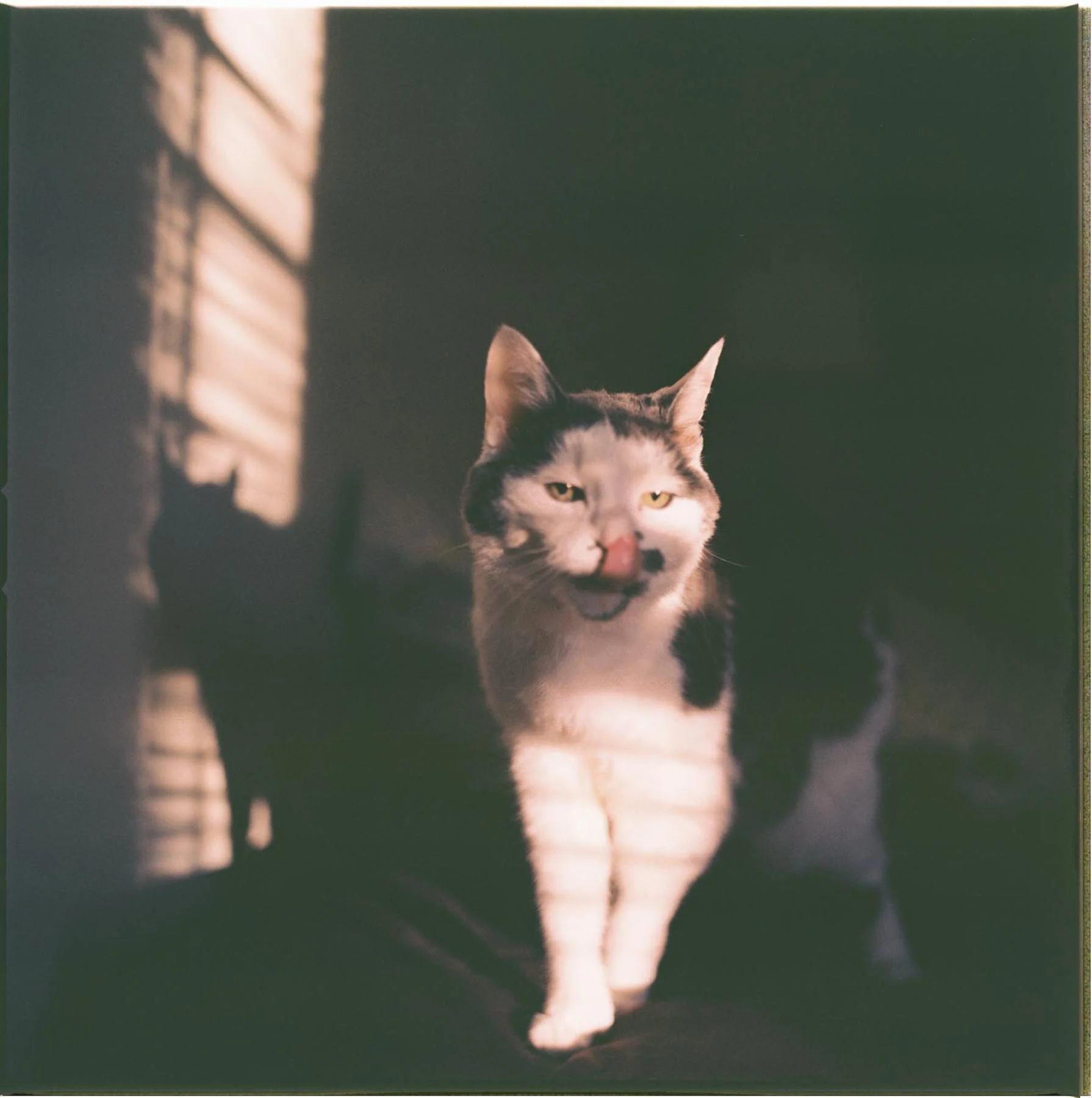Great_film_photographers_001.jpg