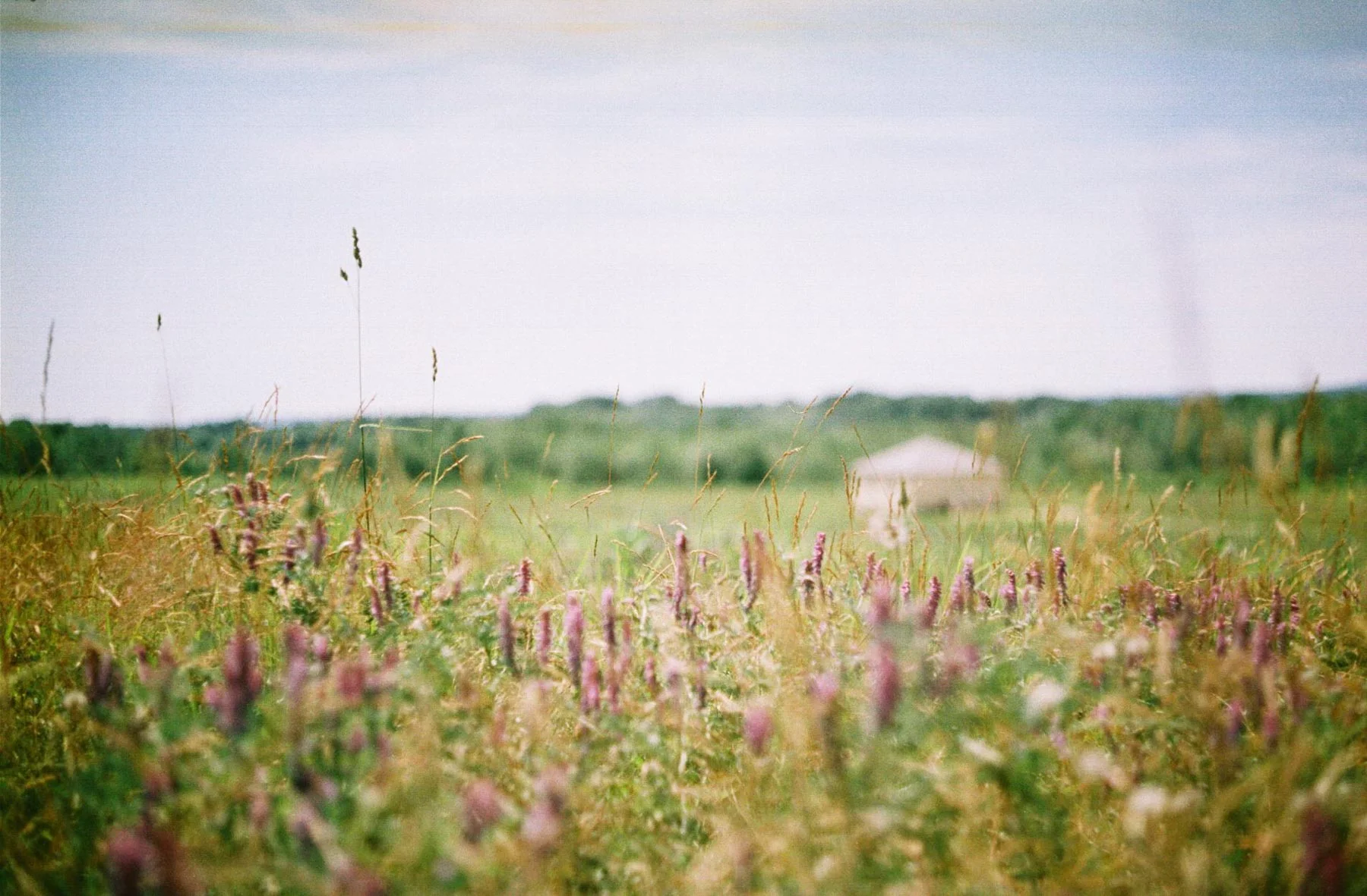 Great_film_photographers_002.jpg