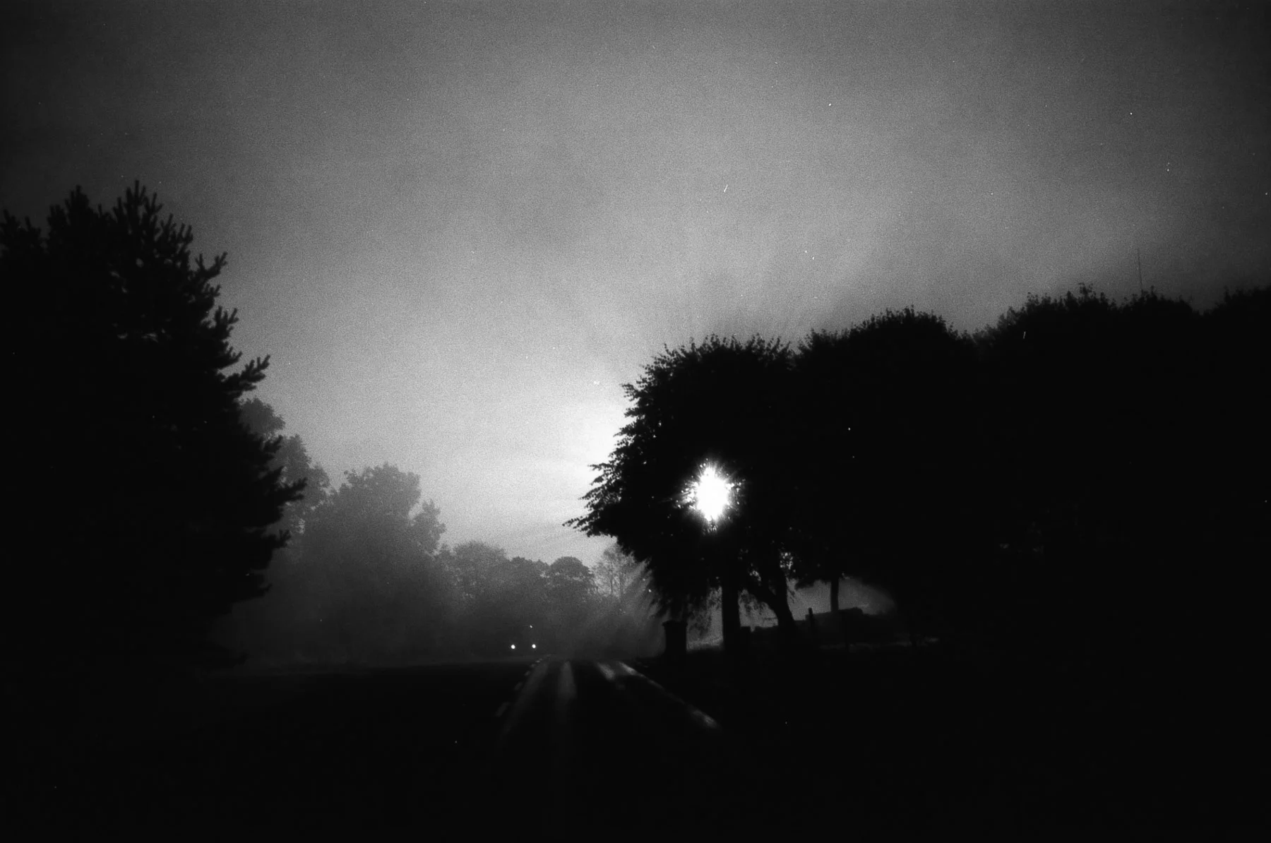 Great_film_photographers_039.jpg