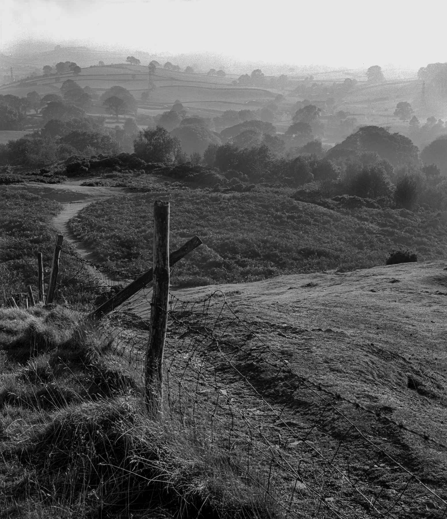 HelmView | MPPMkVIII Schneider 150mm | Colin Reynolds