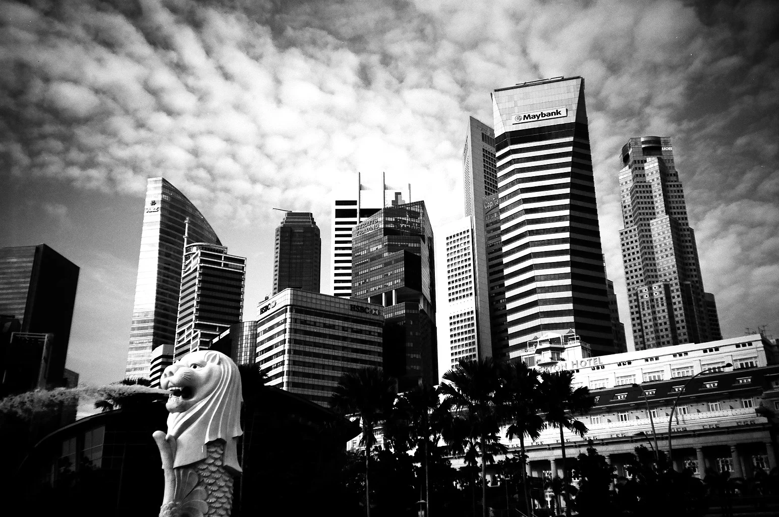 Best-film-photographers-0105.jpg