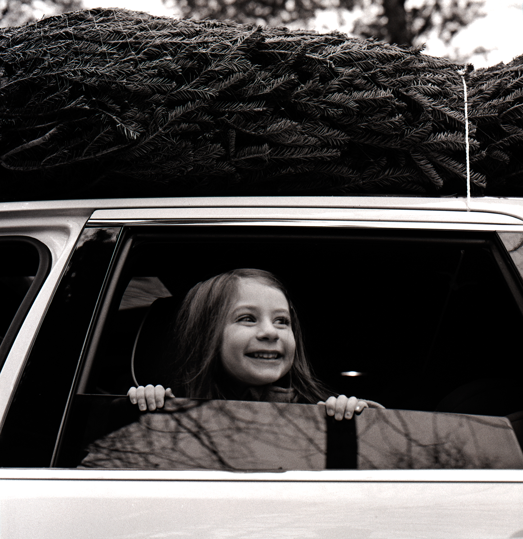 Bringing Home the Tree | Hasselblad 500 CM Ilford HP5+ | Ellen Goodman