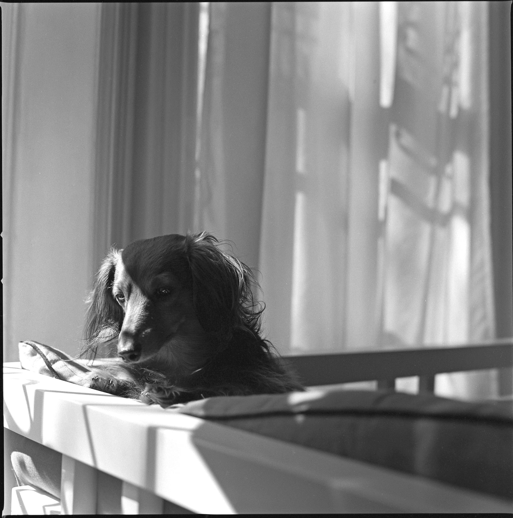 Chloe Contemplating | Hasselblad 501cm | Zeiss 80mm f2.8 | Kodak Tri-X 400 | Shawn Hoke
