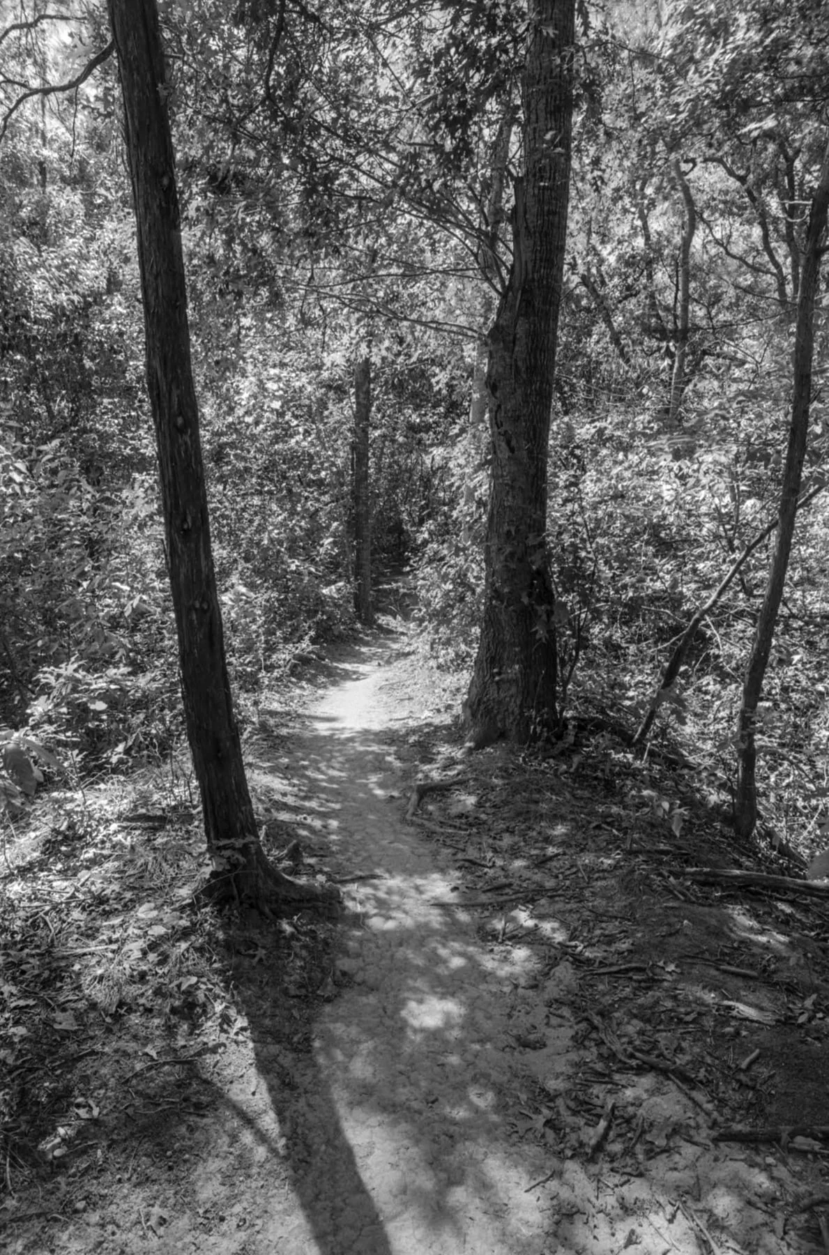 PMK Developer | James Jasek